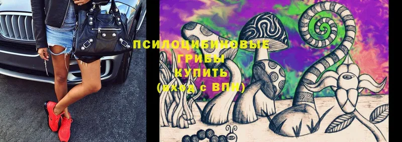 Псилоцибиновые грибы Psilocybe  Новосиль 